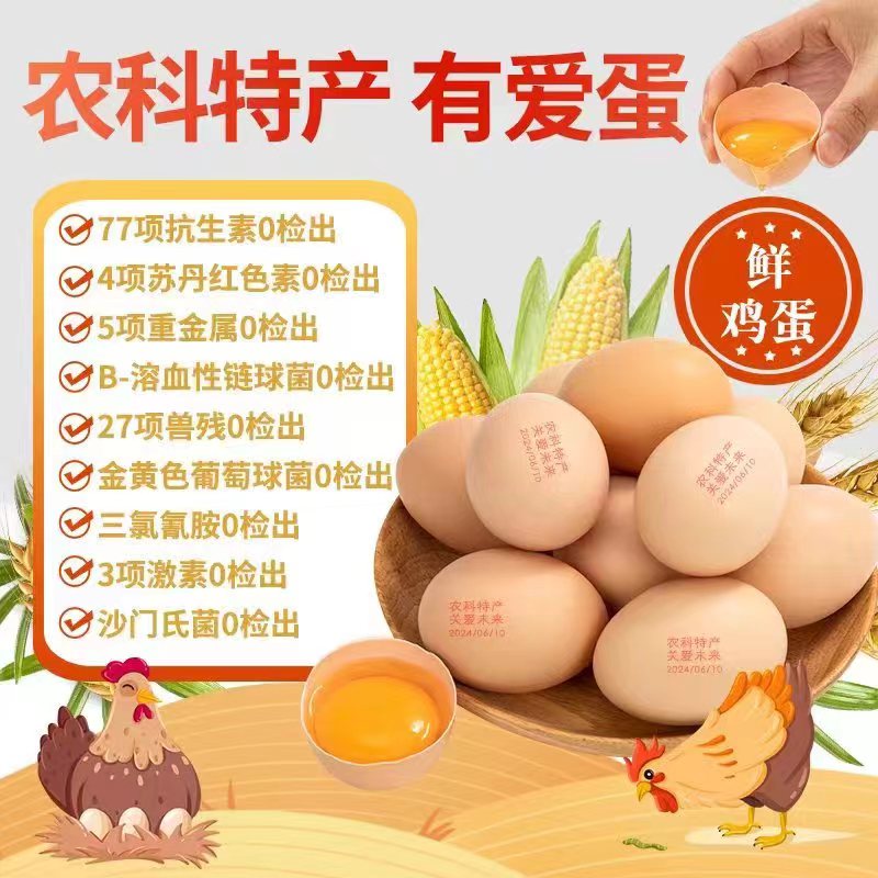 农科鸡蛋批发
