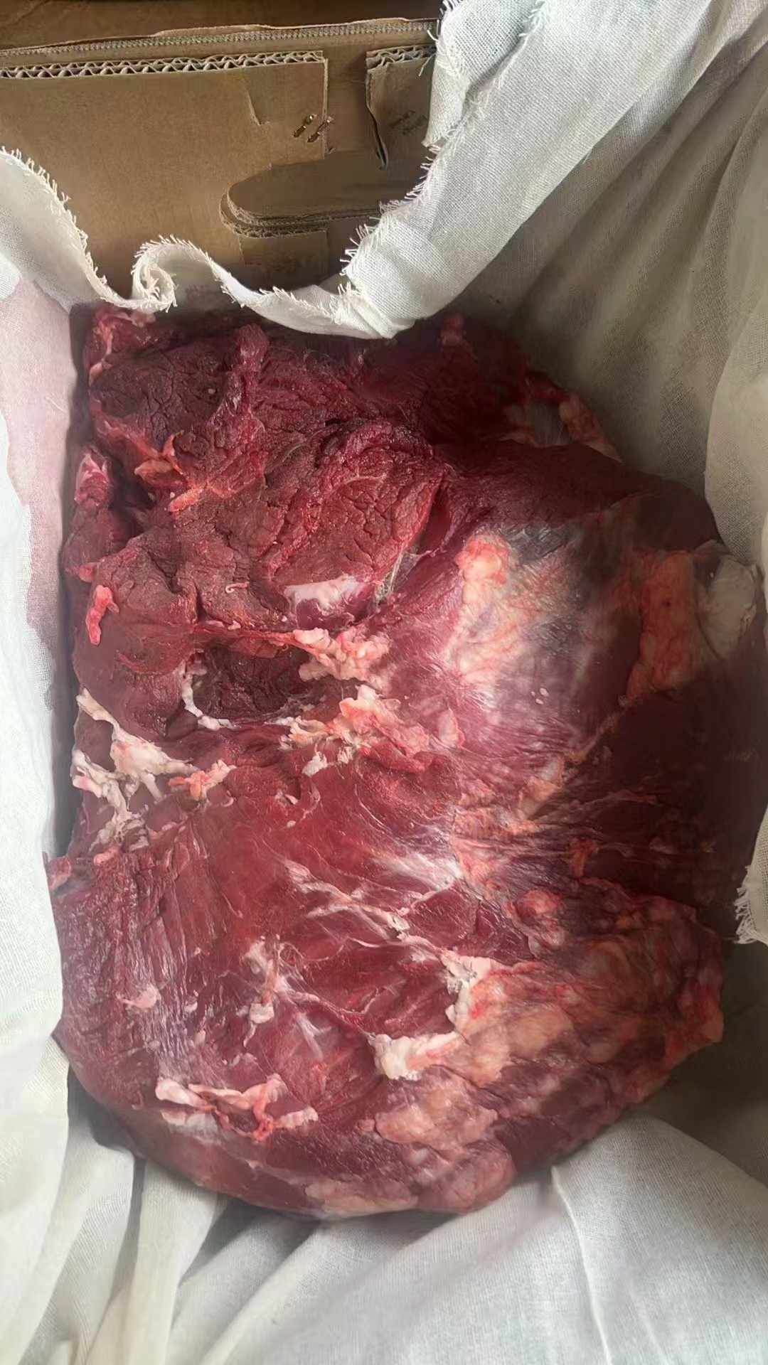 国产冷鲜牛肉/热气牛肉 屠宰场直供